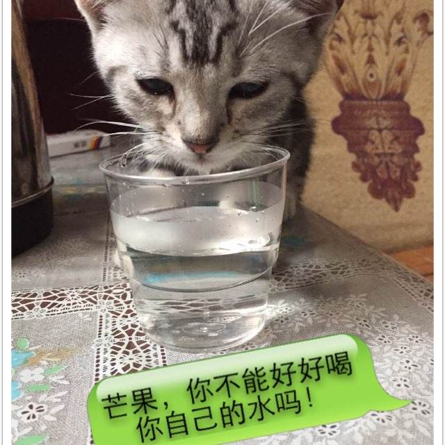 自考学位证和毕业证